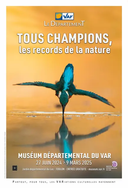 Affiche Tous Champions, les records de la nature