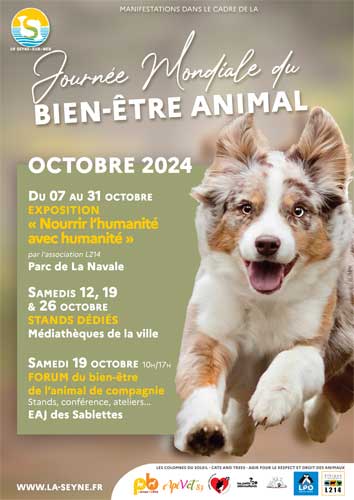 sorties Var octobre 2024