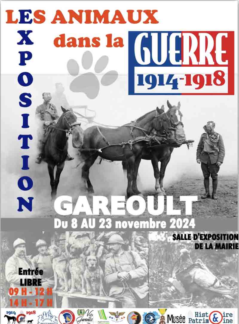 Exposition les animaux dans la guerre