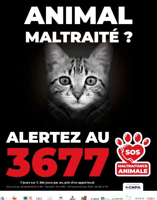 maltraitance animale